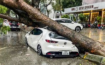 Yêu cầu doanh nghiệp bảo hiểm tạm ứng bồi thường thiệt hại cho người dân ảnh hưởng bão Yagi