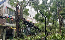 TP.HCM cử lực lượng cây xanh, cấp nước, chiếu sáng, điện lực hỗ trợ các tỉnh phía Bắc