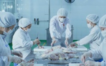 Xuất khẩu cháo tươi từ gạo ST25 sang Mỹ