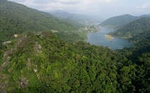 ‘Gieo mầm’ trách nhiệm bảo vệ rừng từ tín chỉ carbon
