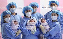 Năm ‘rắn xanh’ 60 năm mới có một lần là điềm lành sinh nở con đàn cháu đống