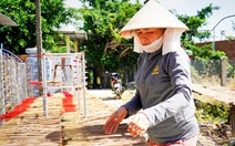 Làng trầm hương trăm tuổi rộn ràng vụ Tết