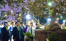 Hội hoa xuân TPHCM năm 2025: Điểm hẹn ngày xuân