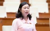 Đại biểu: Khối lượng giám định đại án Vạn Thịnh Phát cực kỳ lớn mà thời hạn 3 tháng là bất khả thi