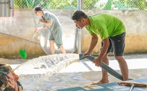 Bắc Ninh sau lũ lịch sử, khu công nghiệp lại sáng đèn, người dân chung tay dọn dẹp nhà cửa