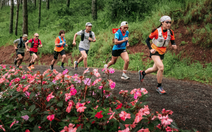 Gần 1.000 VĐV tham gia Vietnam Highlands Trail 2025 tại Lâm Đồng