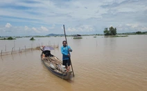 Mùa nước nổi miền Tây: Mùa lũ đẹp nhưng cá tôm chưa nhiều