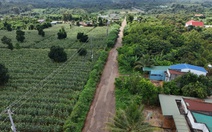 Lập tổ rà soát để xử lý vụ nghi gian lận chấm thầu ở Đắk Lắk