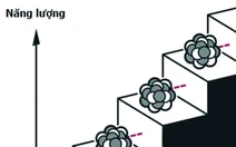 Nobel Vật lý 2025: Tất định bất ngờ