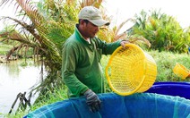 Phát huy vai trò kinh tế hợp tác trong xây dựng nông thôn mới