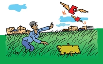 Chờ đợi cả thập kỷ, cỏ lên xanh mà chưa có sổ đỏ