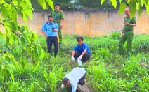 Vi phạm xả nước thải ra môi trường, một công ty ở Vĩnh Long bị xử phạt 345 triệu đồng