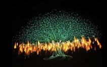 Gần 16.000 drone 'vẽ' cây đại thụ giữa trời đêm Trung Quốc