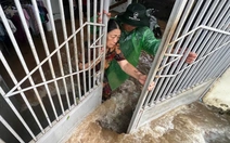 Phải xin kinh phí khắc phục ngập lụt sau khi... nâng cấp đường cao hơn nhà dân