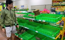Đà Nẵng: Người dân đổ xô mua thực phẩm tích trữ trước bão, rau xanh 'cháy hàng'