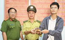 Thấy rùa cực quý ở gần khu trọ, người dân nộp cho công an