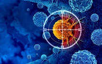 Hợp chất ngăn ung thư, không gây hại tế bào khỏe mạnh