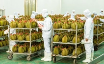 Trung Quốc thay đổi quy định mới, xuất khẩu nông sản, thực phẩm cần lưu ý gì?