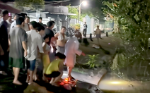 Hai anh em đùa giỡn gần rạch, anh 10 tuổi trượt xuống sông chết đuối