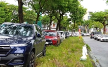 Tránh bão Thần Gió, dân Đà Nẵng đưa ô tô đi 'lánh nạn'