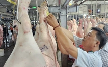 TP.HCM thí điểm sàn giao dịch thịt heo trong năm 2025