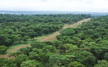 Chuẩn bị đấu thầu dự án sân golf Đak Đoa, khu phức hợp sân golf Ia Hrung