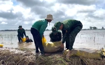 Đỉnh lũ Đồng Tháp Mười khiến dân mất trắng hơn 600ha lúa và cây ăn trái, còn hơn 8.000ha bị uy hiếp