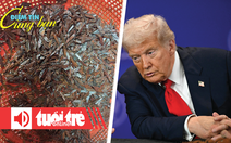 Điểm tin 18h: Tái diễn nạn rải đinh trên quốc lộ 1K; Mỹ bỏ cấm vận vũ khí với Campuchia