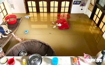 Rét mướt giữa mùa mưa lũ, làm sao bảo vệ sức khỏe?