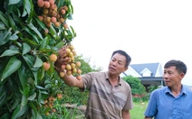 Thỏa thuận mới về thuế đối ứng: Mặt hàng nào có cơ hội hưởng thuế 0%?