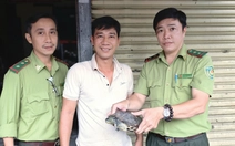 Rùa cổ sọc 'đi lạc' ở xã Bà Điểm, người bán trái cây bắt được giao Kiểm lâm TP.HCM