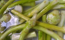 Canh ngó môn, món canh trong miền ký ức