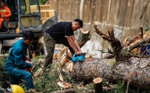 Đá lăn, đất lở, đường nứt, quả đồi nứt toác trên đèo D’Ran dẫn vào Đà Lạt