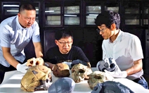 Phát hiện mới về loài người, lịch sử tiến hóa phải viết lại?