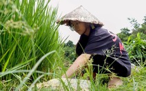 Lũ dữ không ngăn lòng đam mê khoa học, nữ sinh vùng cao trúng tuyển ngành… đường sắt tốc độ cao