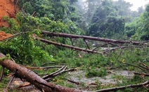 Lại sạt lở quốc lộ 28, đường vào Đà Lạt hết ách chỗ này lại tắc chỗ kia