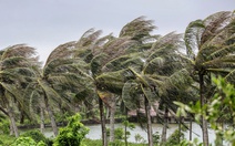 Khả năng có áp thấp hoặc bão vào Biển Đông tuần đầu tháng 11