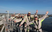 Từ Story Bridge đến đảo Tangalooma: Hành trình chạm vào trái tim Brisbane
