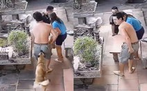 Bỉ ngạn vàng '3 mũi 900 ngàn' vì tin tưởng 'chó nhà em ngoan lắm'