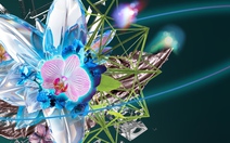 Chuỗi triển lãm Tinh Tuyển Phương Hoa dành riêng cho giới tinh hoa