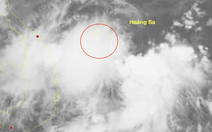 Xuất hiện vùng áp thấp ở Biển Đông, miền Trung tiếp tục mưa lớn