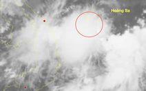 Xuất hiện vùng áp thấp ở Biển Đông, miền Trung tiếp tục mưa lớn