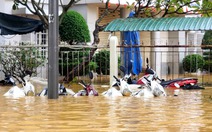 Hàng ngàn ô tô, xe máy bị ngập, chập cháy trong mưa lũ lịch sử ở Huế