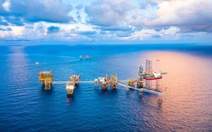 Một cổ phiếu lập tức tím trần sau khi Petrovietnam công bố thoái vốn