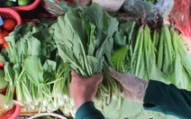 Bạn nên ăn bao nhiêu rau và trái cây mỗi ngày?