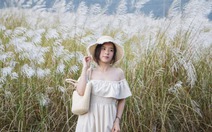 Mùa cỏ lau về, Đà Nẵng đẹp ngỡ ngàng những ngày cuối thu