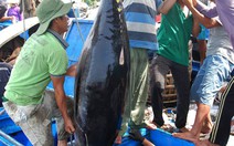 Những thành tựu của ngành Nông nghiệp và Môi trường Đà Nẵng 80 năm qua