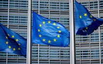 EU dựng ‘lá chắn dân chủ’, yêu cầu Google, Meta gắn nhãn nội dung AI