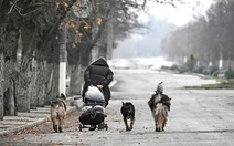 Ukraine tiến thoái lưỡng nan