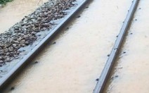 Ngập đường sắt Bắc - Nam đoạn qua Khánh Hòa, nhiều đoàn tàu tạm dừng lộ trình